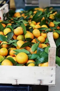 Смачні подарунки можна
