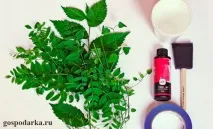 Як нанести малюнок на тканину за допомогою сонця нанести
