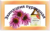 Як лікувати фурункул у домашніх умовах фурункул