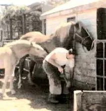 старий