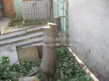 Як правильно спиляти високе дерево - майстер клас з фото,Самі своїми руками дерево