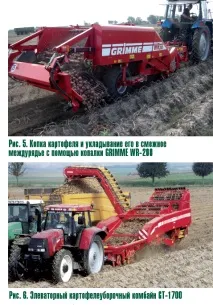 Картопляна третя бульби