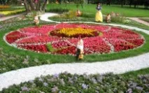 Клумби, що цвітуть все літо клумби