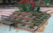 Клумби, що цвітуть все літо квітів