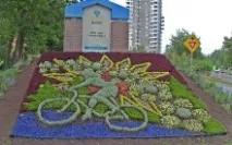 Клумби, що цвітуть все літо квітів