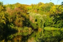 Китаєво, Куди піти, що подивитися, де відпочити в Києві піти