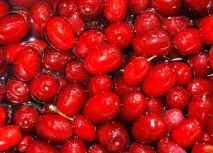 Кизил - варення, у чому користь від вживання, Фрукти та Варіння Півдня кизил
