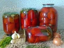 помідорів
