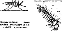 деякі