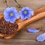 Льон корисні властивості льон
