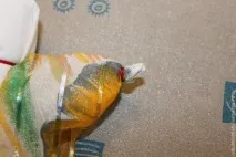 желанка