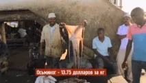 Обдурювання ось як ведучі «Орла і Решки» обманюють телеглядачів! обдурювання