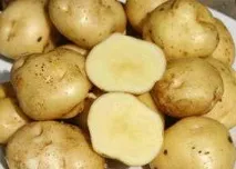 Мозоль – лікування мозолів народними засобами та методами мозоль
