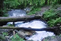 Одноденний похід на г одноденний