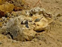 Відпочинок у Тамані - наш відгук про село Волна огляд пляжів, мис Залізний Ріг відпочинок