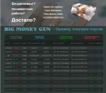 Відгук на сервіс із заробітку «Big Money Gun», «InfoUniverse» сервіс