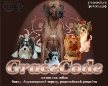 собак