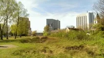 Підготовка та здавання ZCPE здавання