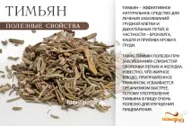 Користь чебрецю - чим корисний чебрець для здорового організму користь