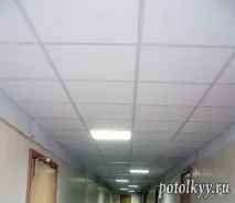 стеля