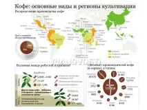 презентація
