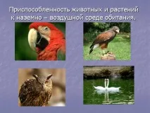 Презентація на тему - Середовище проживання організмів середовище