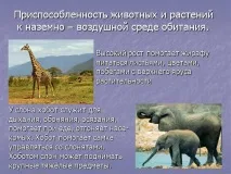 Презентація на тему - Середовище проживання організмів середовище