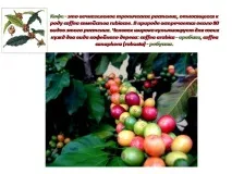 презентація