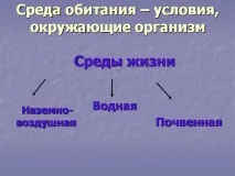 Презентація на тему - Середовище проживання організмів організмів