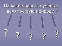 Презентація на тему - Середовище проживання організмів середовище
