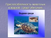 Презентація на тему - Середовище проживання організмів проживання