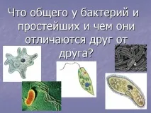 Презентація на тему - Середовище проживання організмів тему