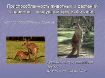 Презентація на тему - Середовище проживання організмів тему