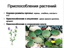 Презентація на тему - Середовище проживання організмів організмів