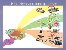 Презентація на тему - Середовище проживання організмів організмів