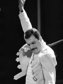 freddie