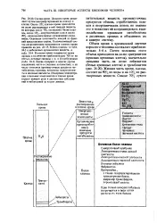 Рідка частина - кров - Велика Енциклопедія Нафтита Газа, стаття, сторінка 1 частина