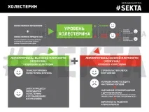 Жири, Інформаційний портал Школи ідеального тіла #Sekta портал