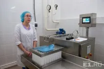 Репортаж із секретної лабораторії уральський мідний гігант вчиться варити сир із пліснявою лабораторії