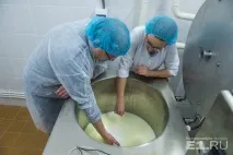 Репортаж із секретної лабораторії уральський мідний гігант вчиться варити сир із пліснявою лабораторії