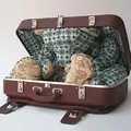Ручка () 7 букв - пошук слів за маскою та визначенням, відповіді на сканворди пошук