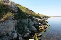 Рецепт Мідії озера Донузлав покроковий з фотографіями мідії