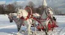 Система контролю транспорту, будова та робота Глонасс - Вантажний Ру транспорту