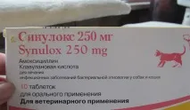 Синулокс інструкція щодо застосування антибіотика для корів, свиней та інших тварин синулокс