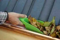 елементи