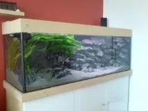 силікон