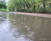 Вірш «Дощ біг», Дощ та цікаве про дощ вірш