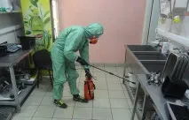 Таргани на підприємстві, що з цим робити - Міська станція дезінфекції дезінфекції