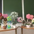 Топіарій або «Дерево щастя» своїми руками дерево