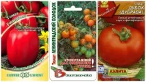 Томати низькорослі для відкритого ґрунту без пасинкування найкращі сорти, фото, відгуки ґрунту